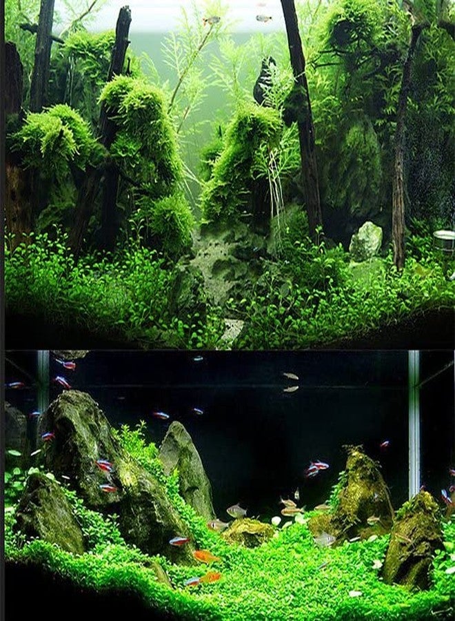 تربة أحواض السمك البلاتينية من فاييناتو أكواتيك ريميديز، منتج ياباني (1 لتر) - Image 4